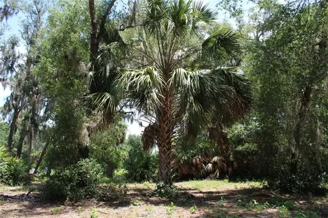 3117 Bright Lake Circle Groveland FL 34736