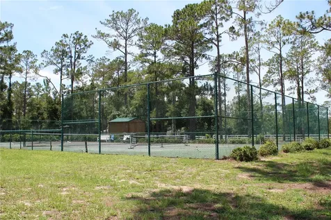 3117 Bright Lake Circle Groveland FL 34736