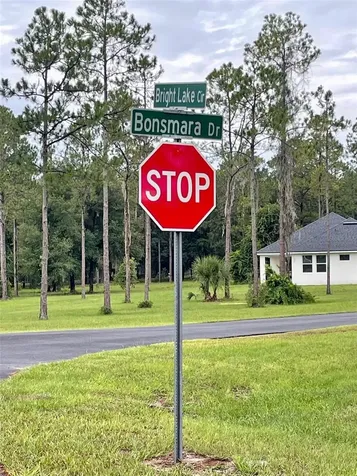 3117 Bright Lake Circle Groveland FL 34736