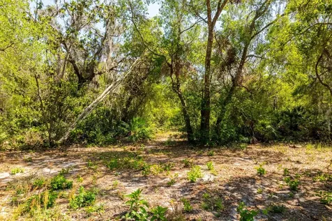 3117 Bright Lake Circle Groveland FL 34736