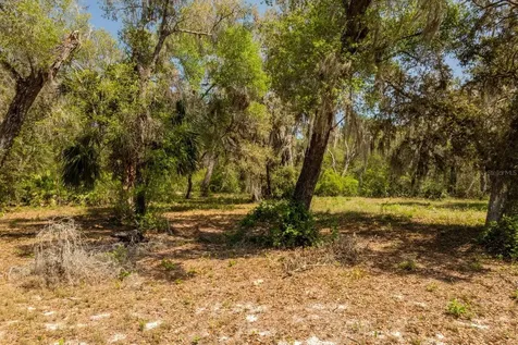 3117 Bright Lake Circle Groveland FL 34736