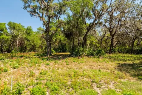 3117 Bright Lake Circle Groveland FL 34736