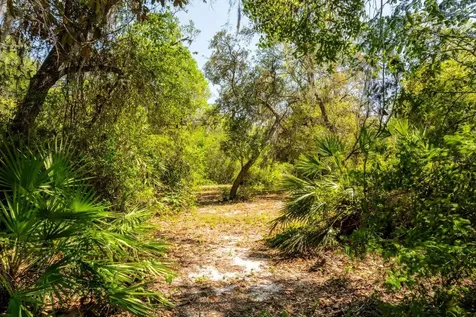 3117 Bright Lake Circle Groveland FL 34736