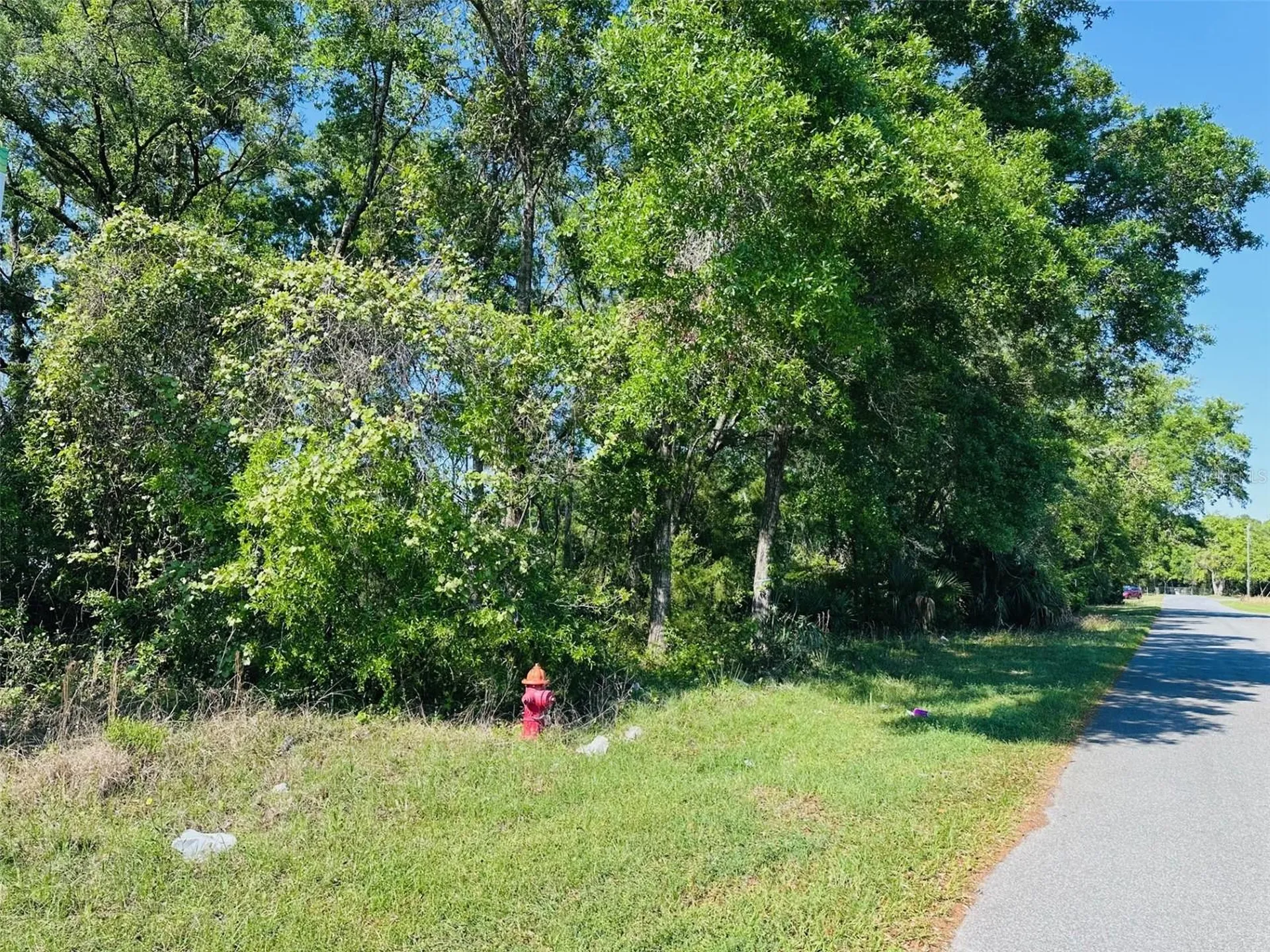 0 N Young Boulevard Chiefland FL 32626