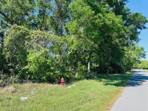 0 N Young Boulevard Chiefland FL 32626
