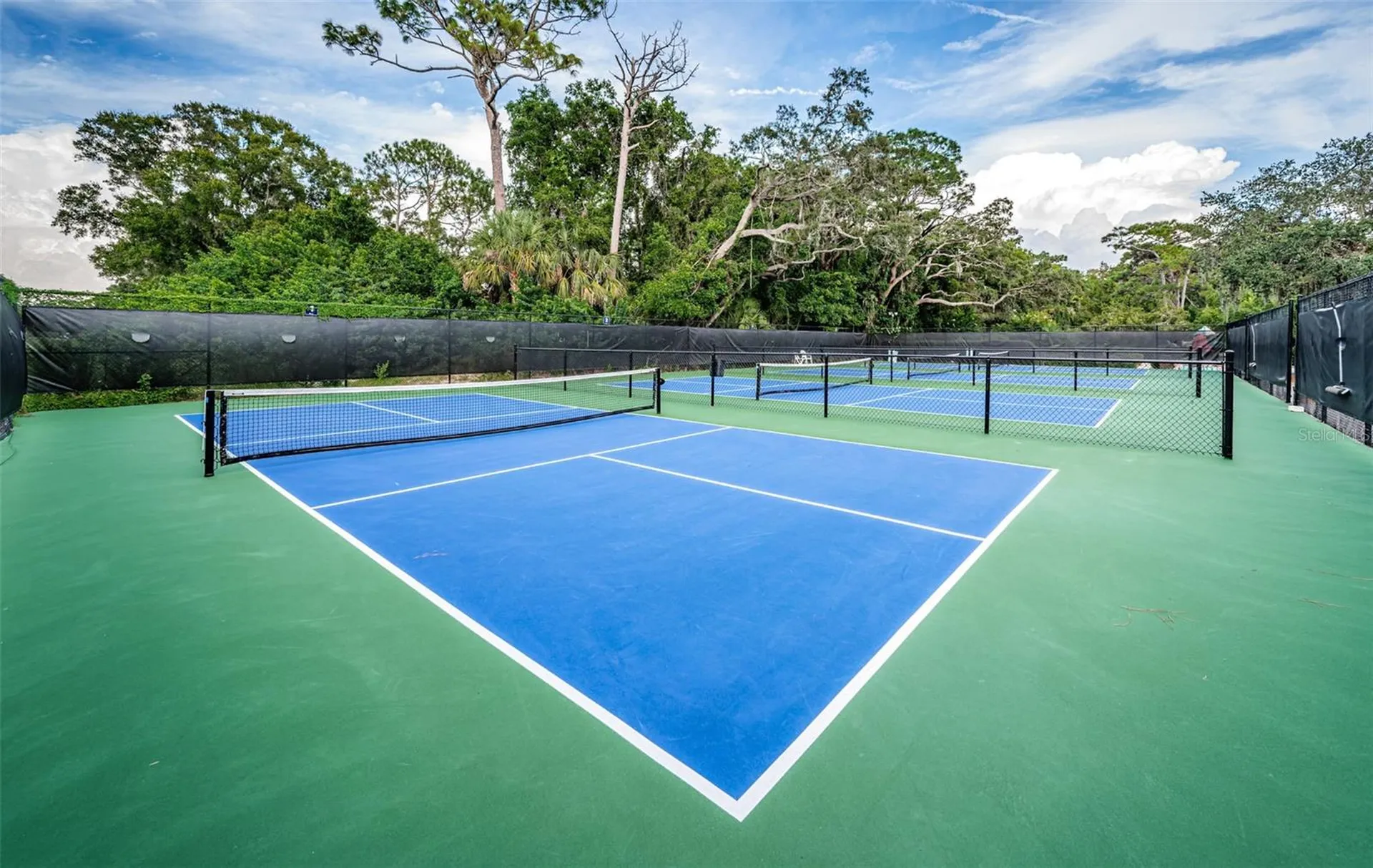 36750 Us 19 N Palm Harbor FL 34684