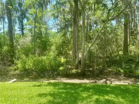 36750 Us 19 N Palm Harbor FL 34684
