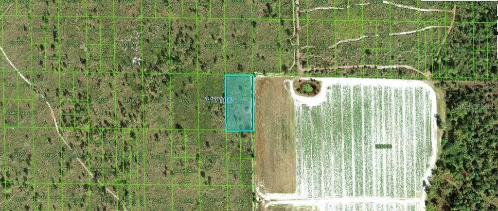 Grape Hammock Road Lake Wales FL 33898