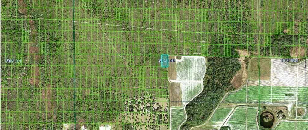Grape Hammock Road Lake Wales FL 33898