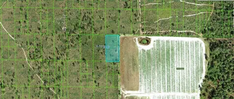Grape Hammock Road Lake Wales FL 33898