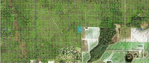 Grape Hammock Road Lake Wales FL 33898