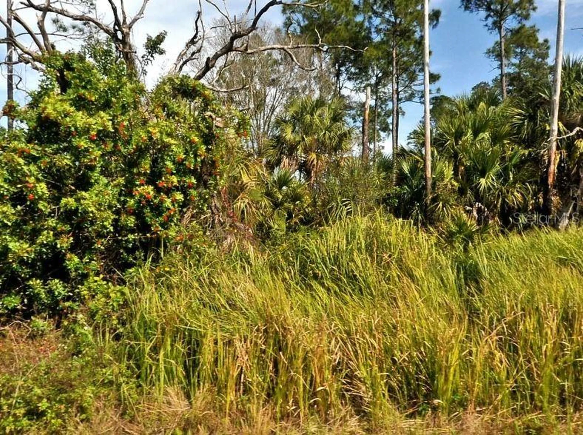 Firebird Road North Port FL 34288