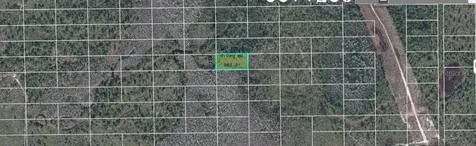 Dill Road Orlando FL 32820