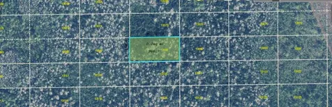 Dill Road Orlando FL 32820
