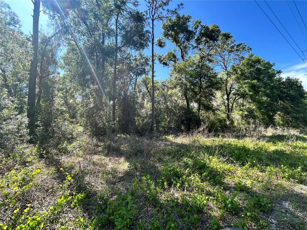 9319 S Florida Avenue Floral City FL 34436