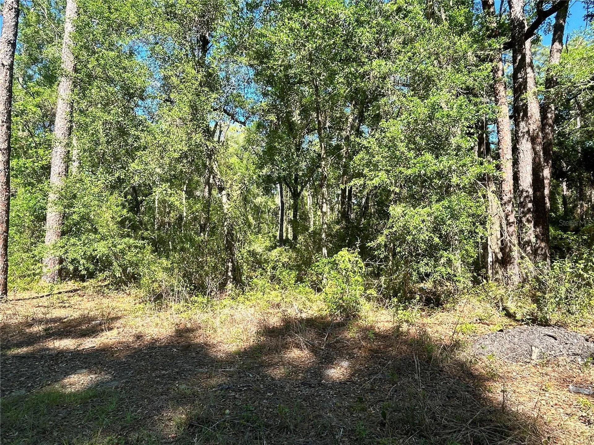 9319 S Florida Avenue Floral City FL 34436