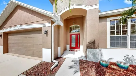 8603 Sandy Plains Drive Riverview FL 33578