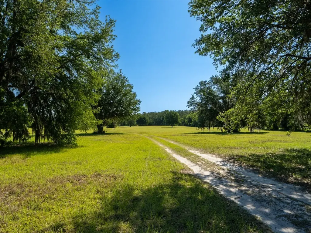 11420 NW 110th Avenue Reddick FL 32686