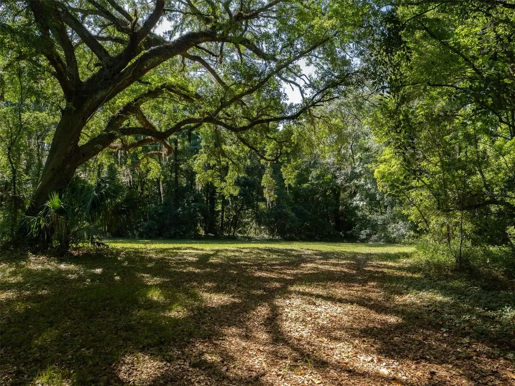 11420 NW 110th Avenue Reddick FL 32686