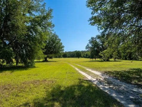 11420 NW 110th Avenue Reddick FL 32686