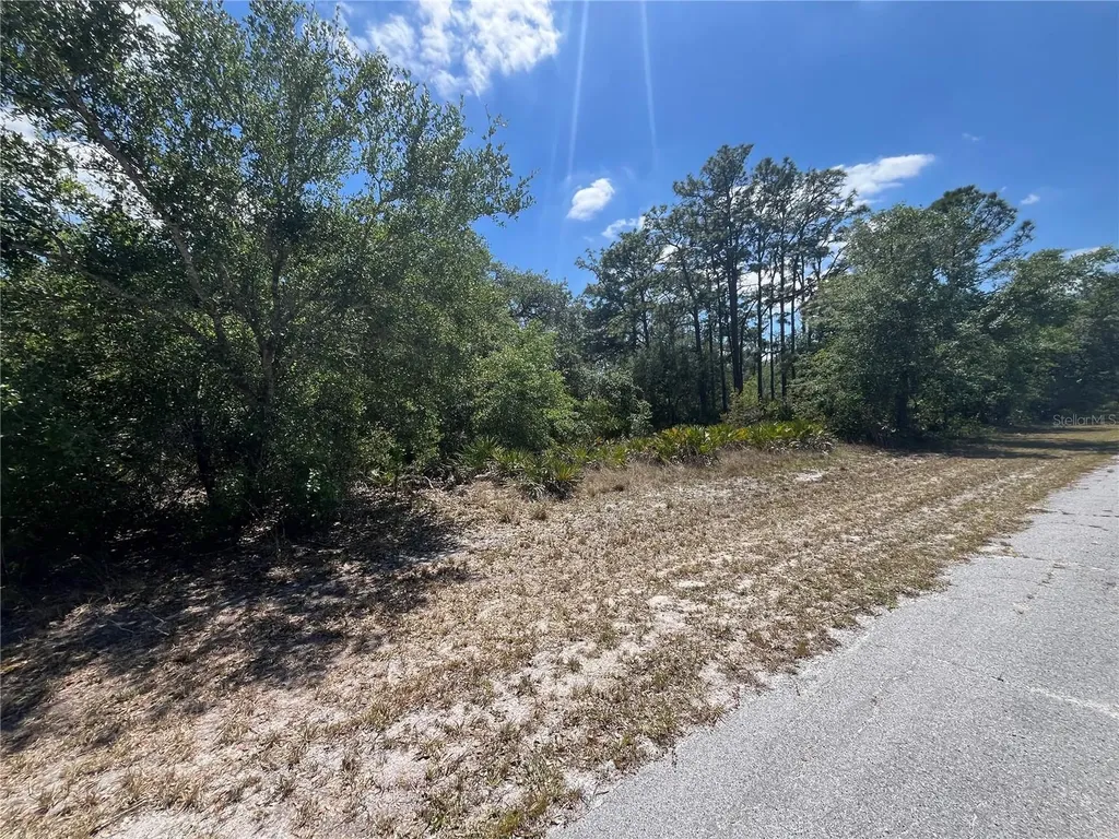 Oleander Drive Indian Lake Estates FL 33855
