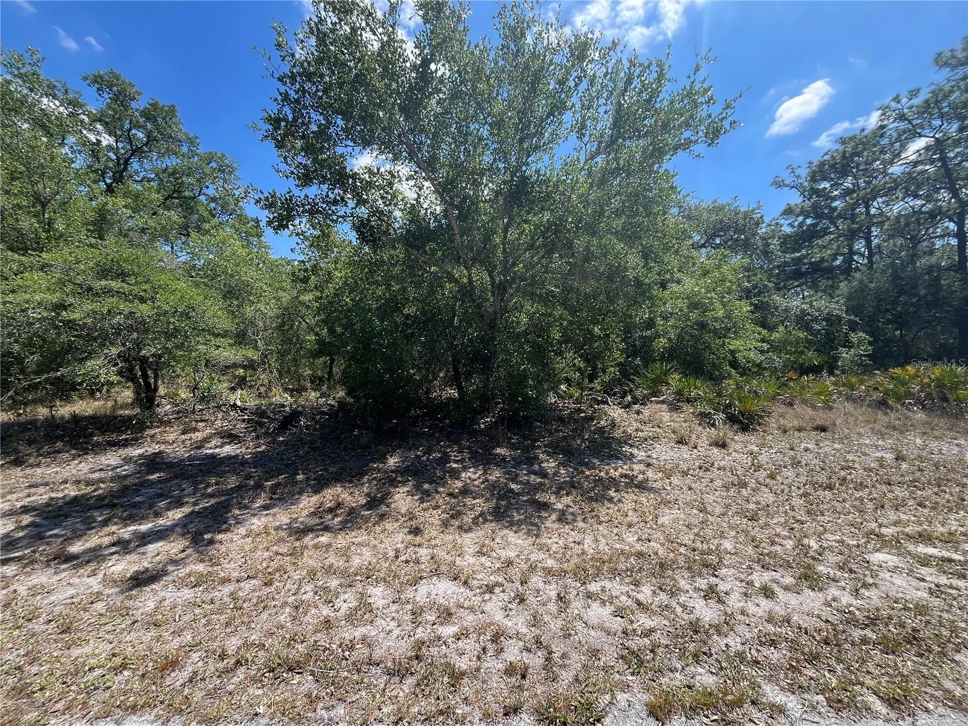 Oleander Drive Indian Lake Estates FL 33855