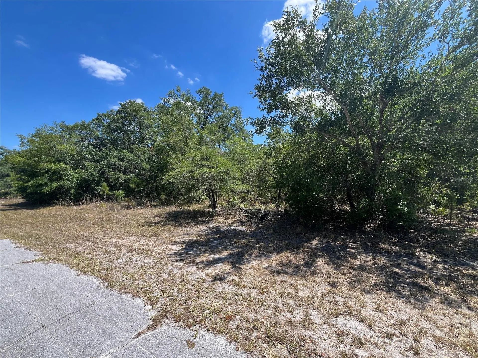 Oleander Drive Indian Lake Estates FL 33855