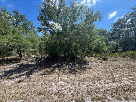 Oleander Drive Indian Lake Estates FL 33855