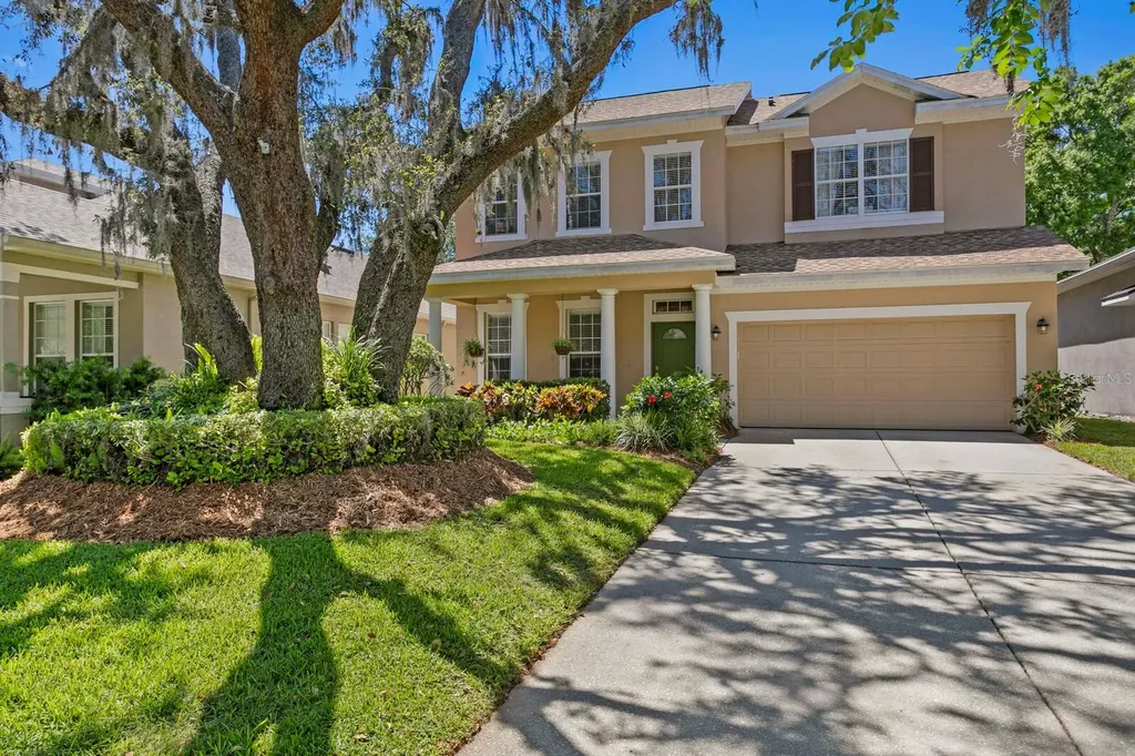 13312 Tiger Lilly Lane Tampa FL 33625