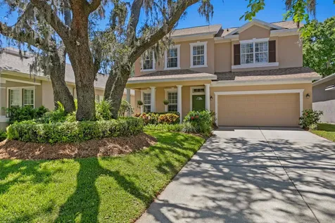 13312 Tiger Lilly Lane Tampa FL 33625