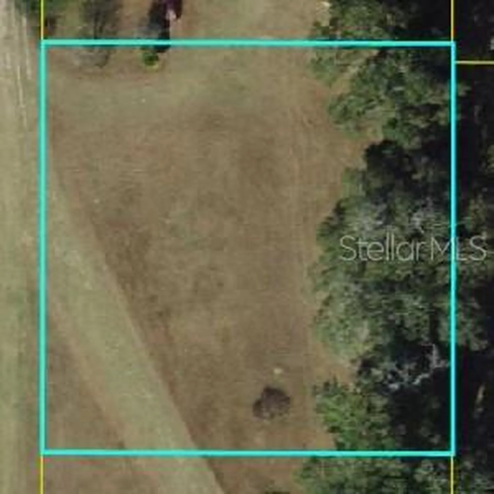 NE 36th Street Oxford FL 34484