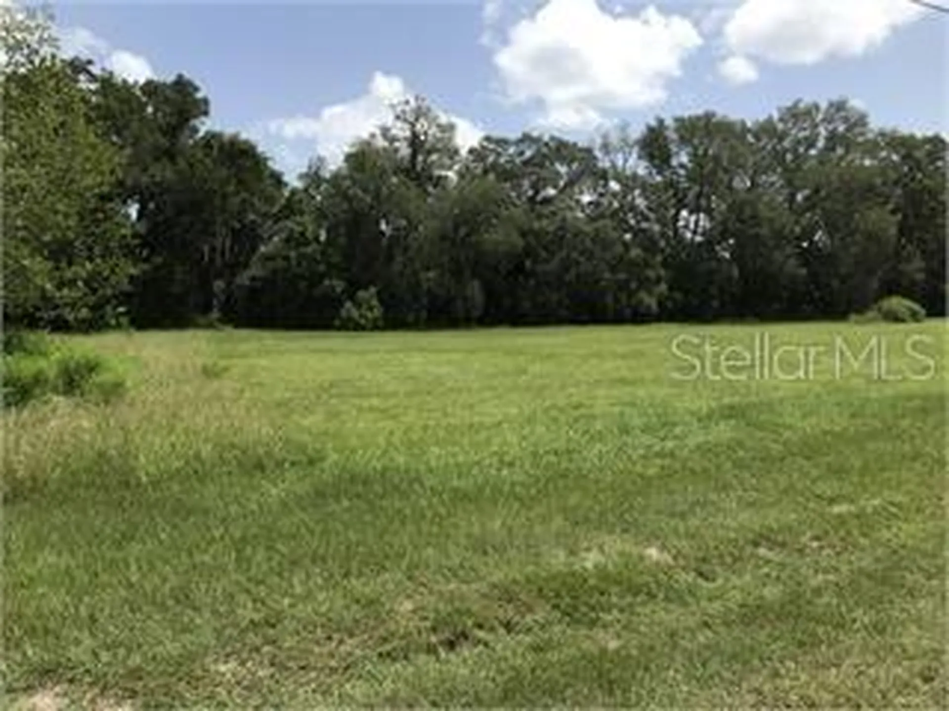 NE 36th Street Oxford FL 34484