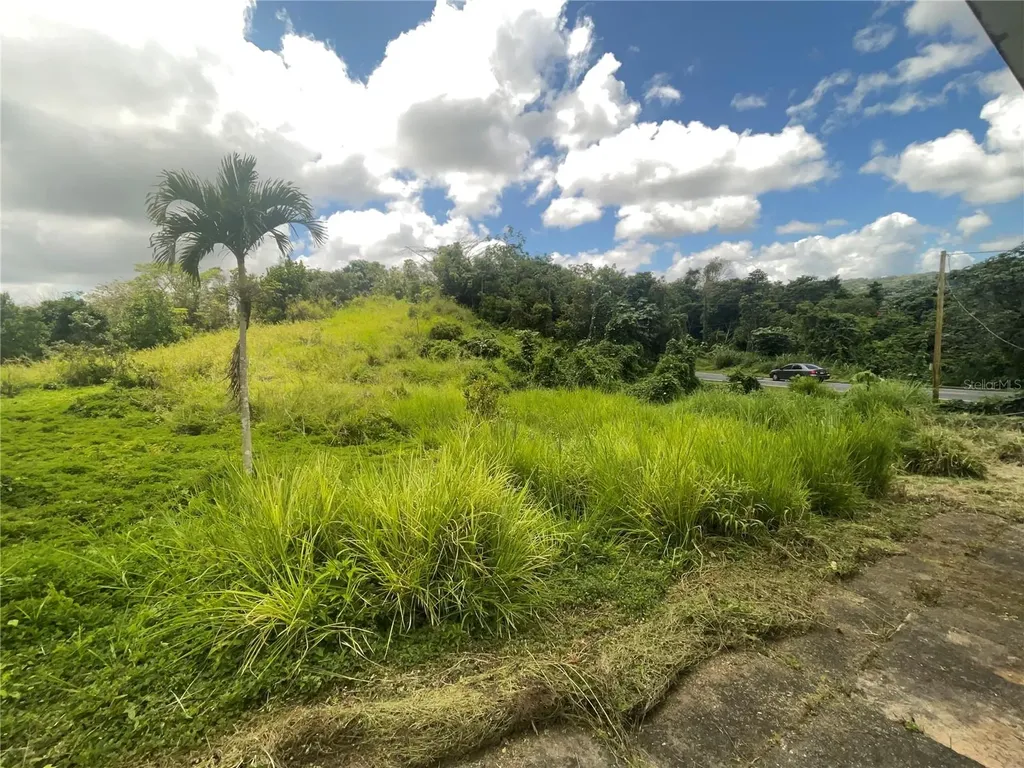 143 143 Barranquitas PR 00794