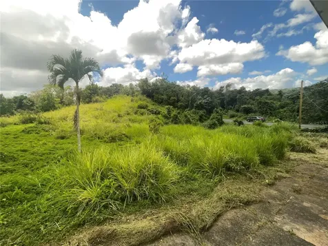 143 143 Barranquitas PR 00794