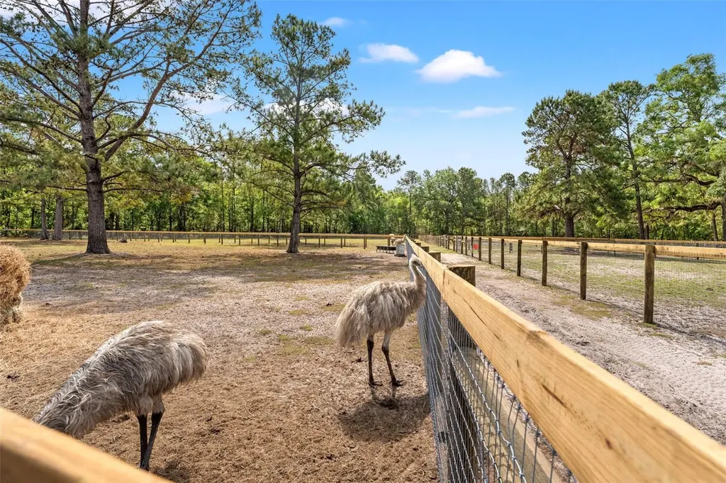 3431 Saturn Road Brooksville FL 34604
