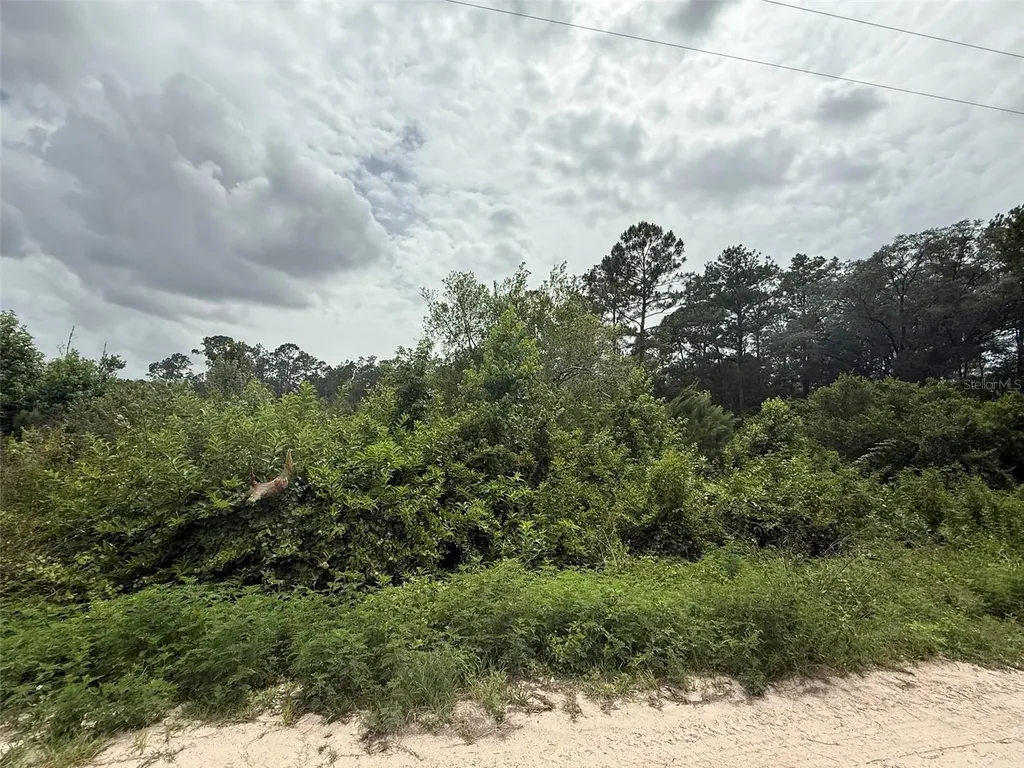 129 Fishermans Drive Interlachen FL 32148