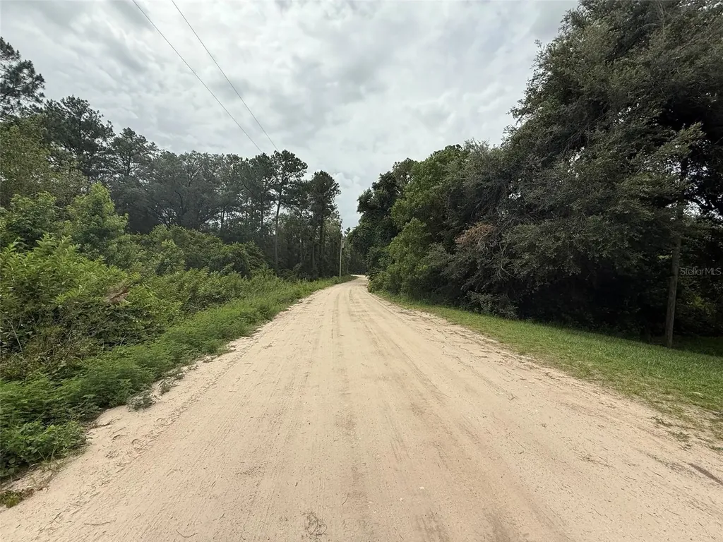 129 Fishermans Drive Interlachen FL 32148