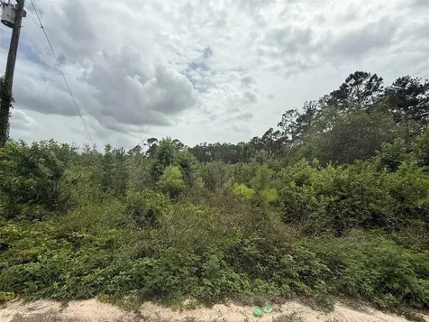 129 Fishermans Drive Interlachen FL 32148