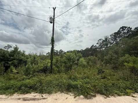 129 Fishermans Drive Interlachen FL 32148