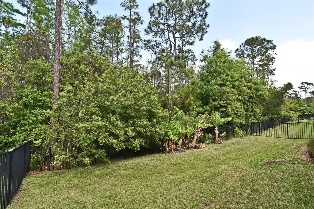 8742 Peachtree Park Court Windermere FL 34786