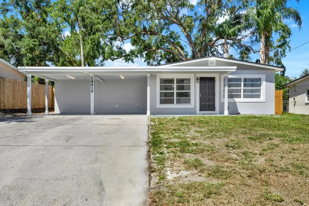 10218 Lola Street Tampa FL 33612