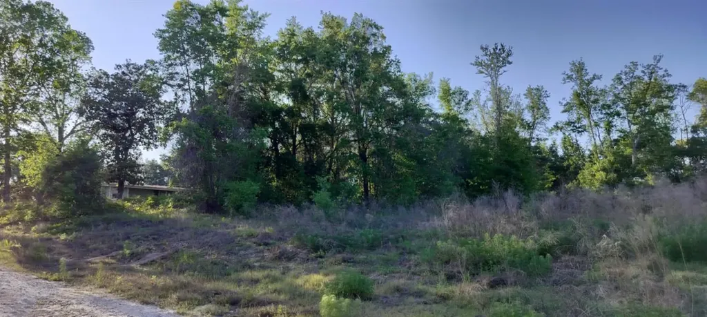 2808 Van Buren Street W Inverness FL 34453