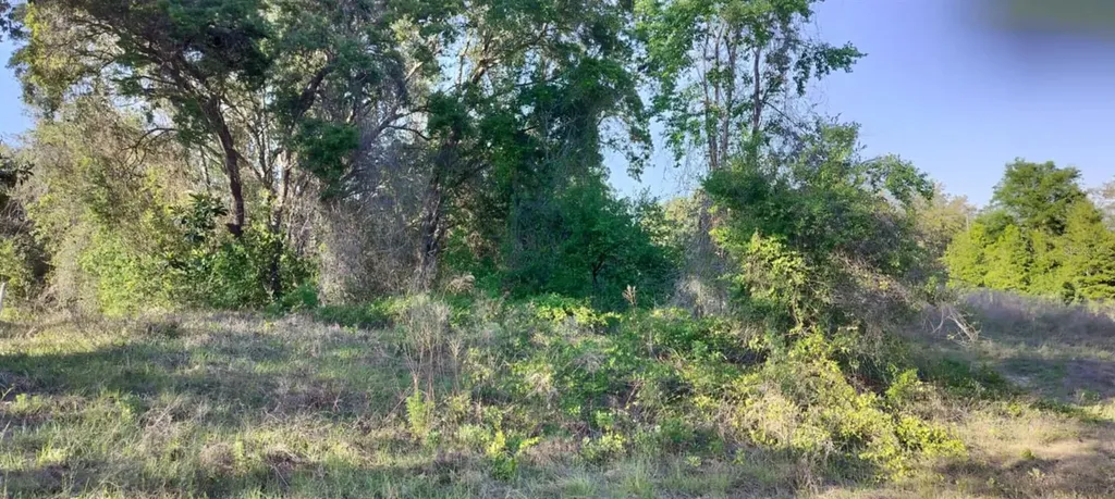 2808 Van Buren Street W Inverness FL 34453