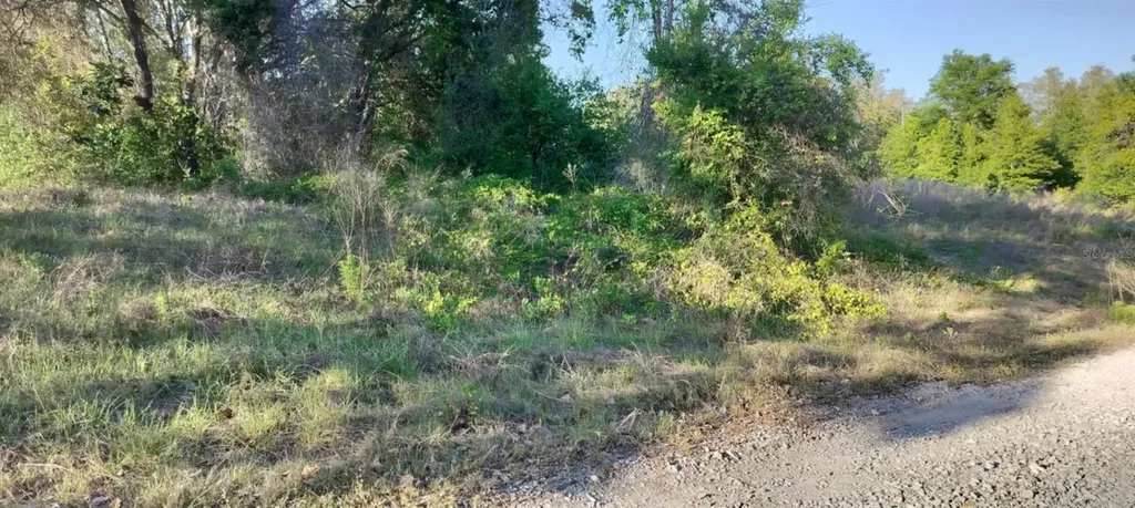2808 Van Buren Street W Inverness FL 34453