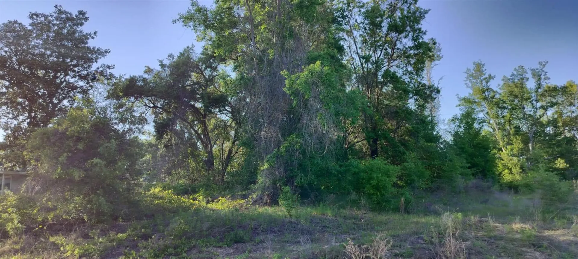 2808 Van Buren Street W Inverness FL 34453
