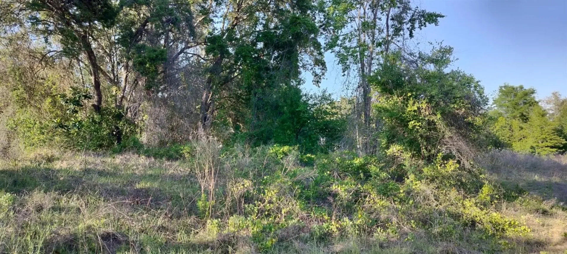 2808 Van Buren Street W Inverness FL 34453