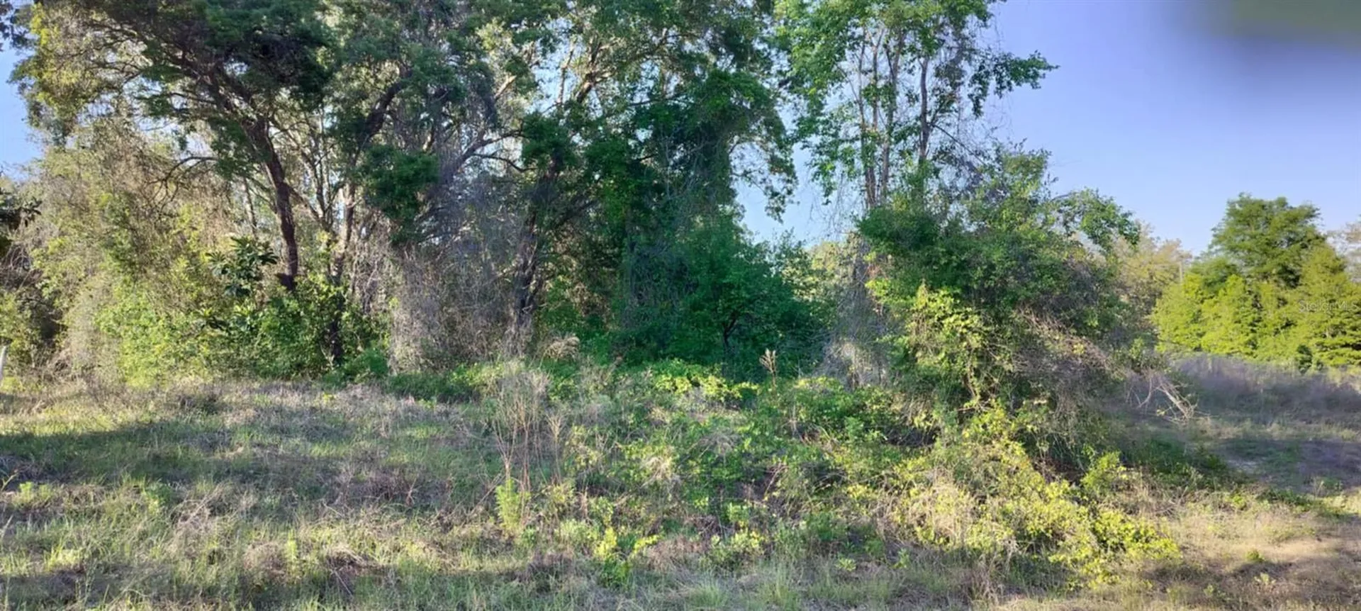2808 Van Buren Street W Inverness FL 34453