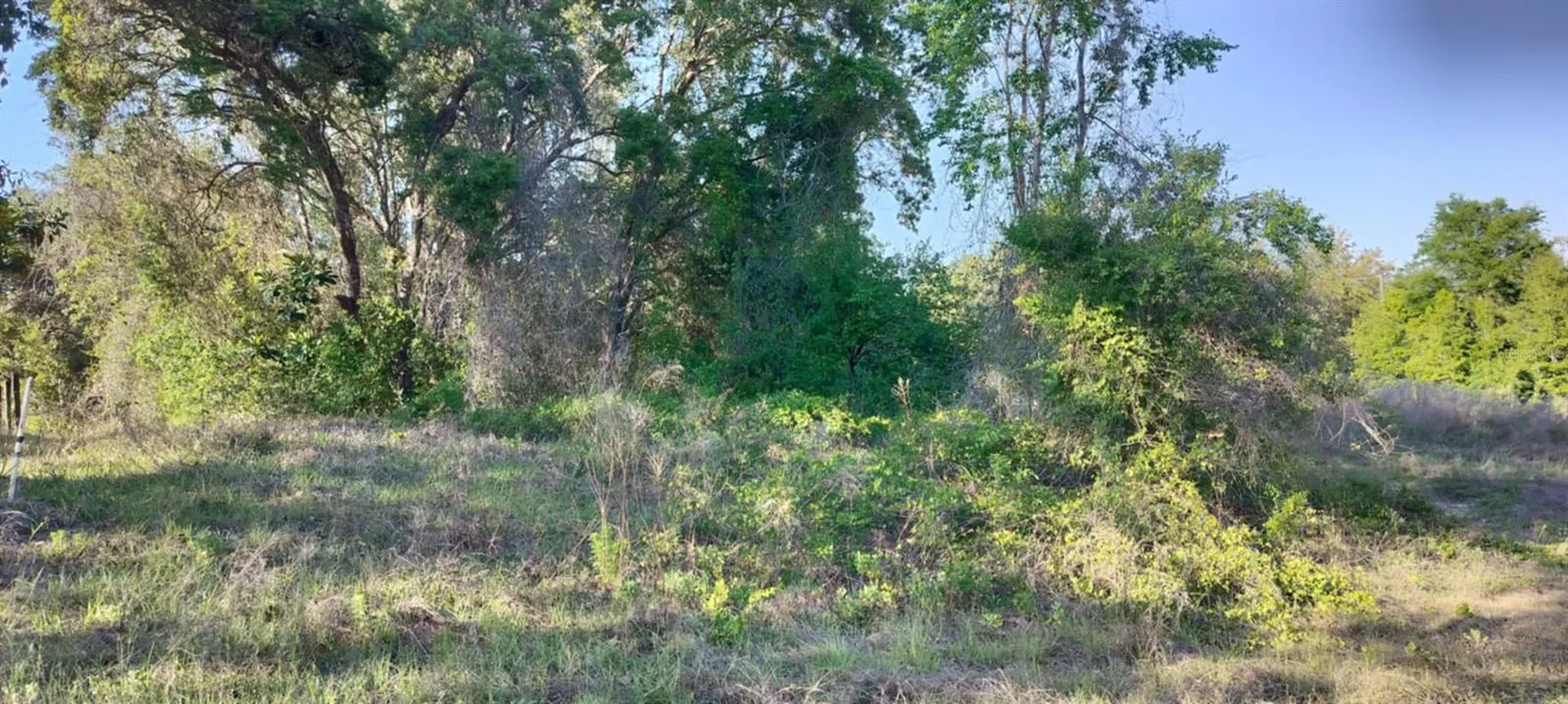 2808 Van Buren Street W Inverness FL 34453