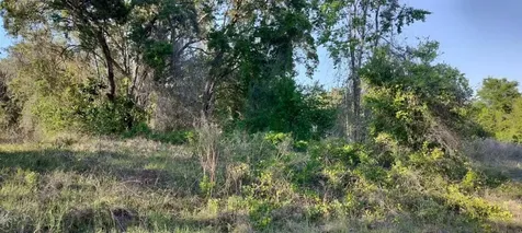 2808 Van Buren Street W Inverness FL 34453