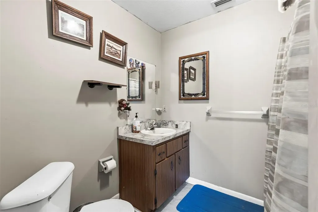 29133 Lawton Drive Nobleton FL 34661